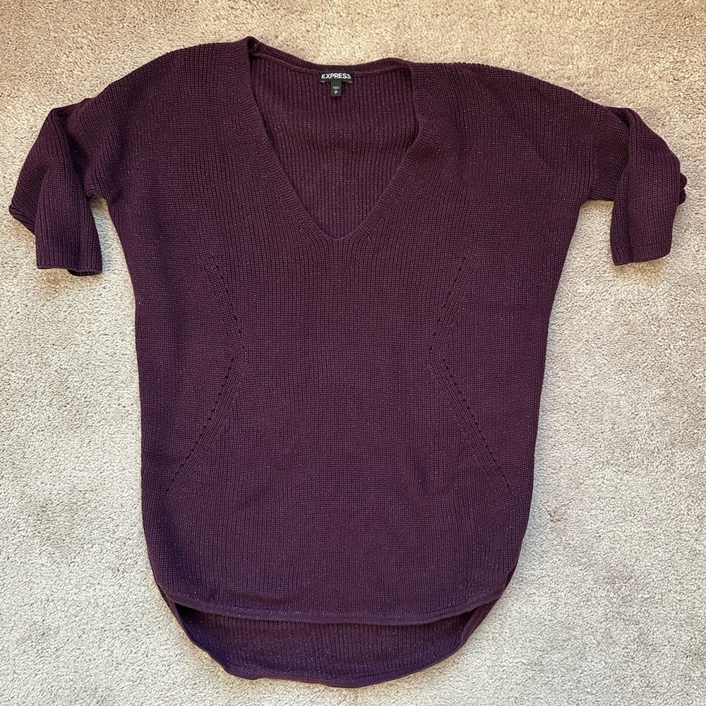 Express V Neck 3/4 Sleeve Purple Women's Sweater